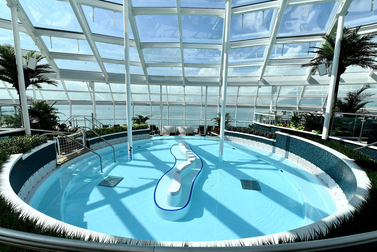 Spectrum of the Seas Solarium Pool with a View