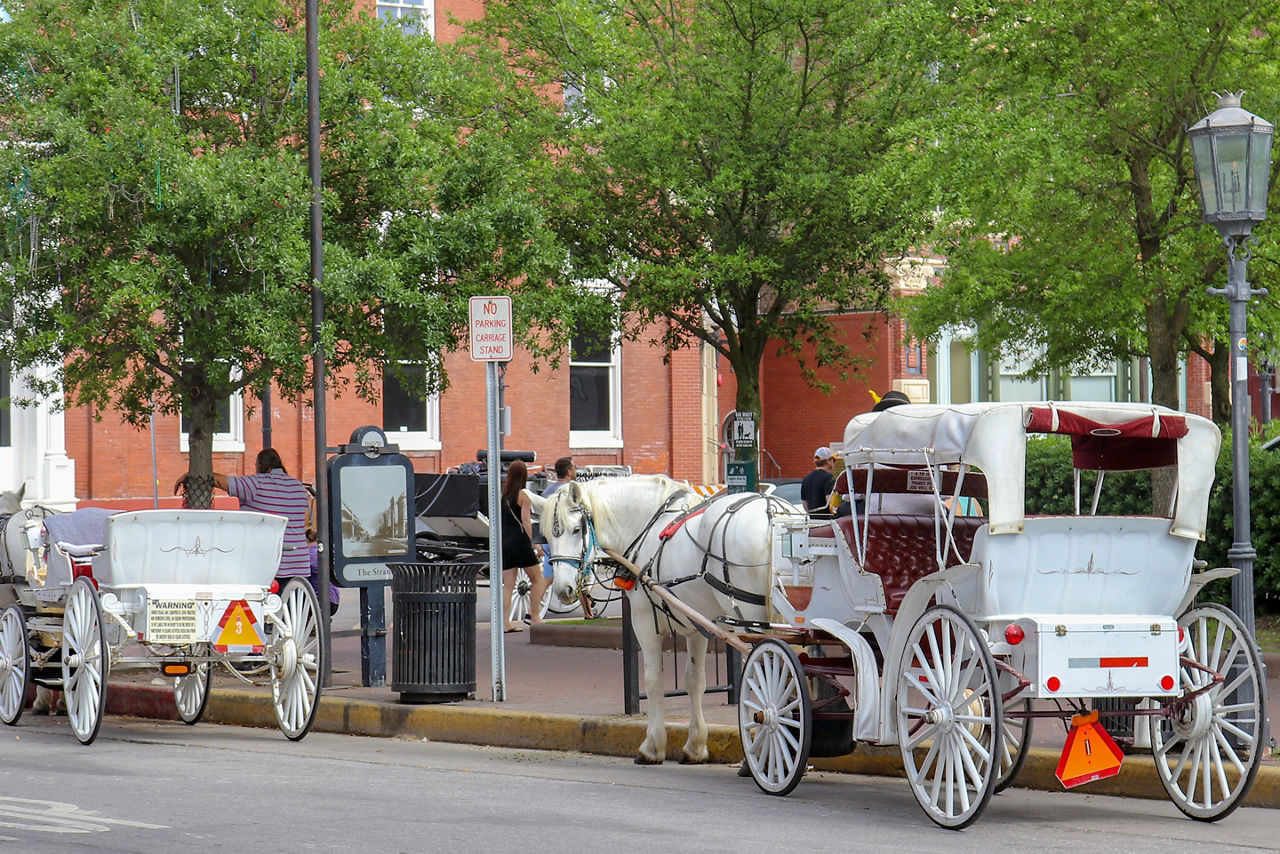 Walk through history in historical downtown Galveston.