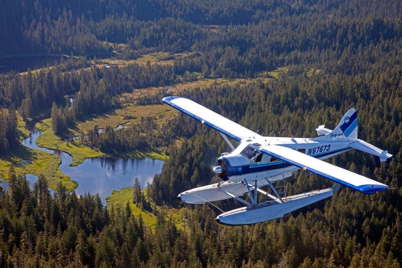 Airplane Tour Bear Adventure, Ketchikan, Alaska