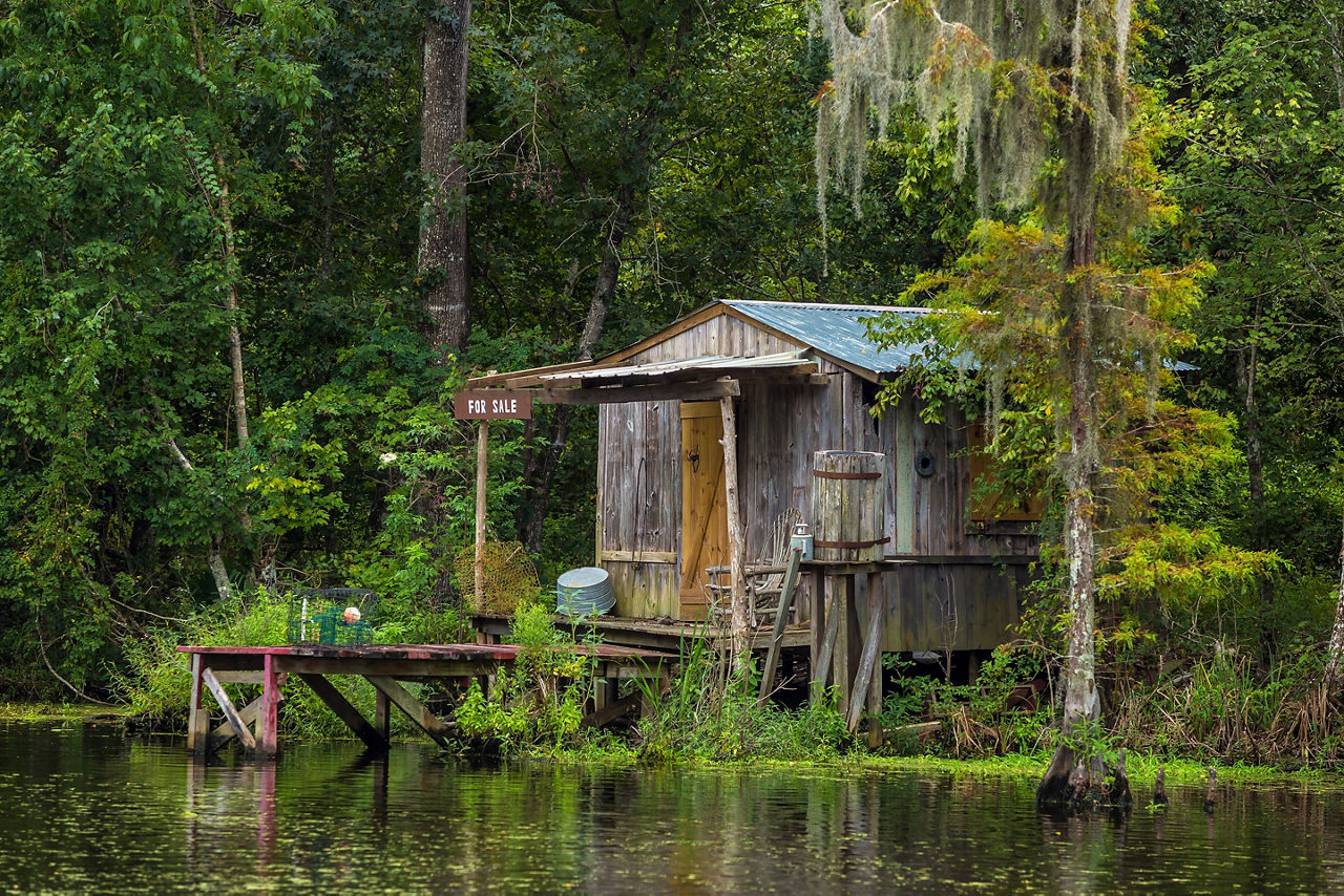 New Orleans Bayous Backwaters Swamp House