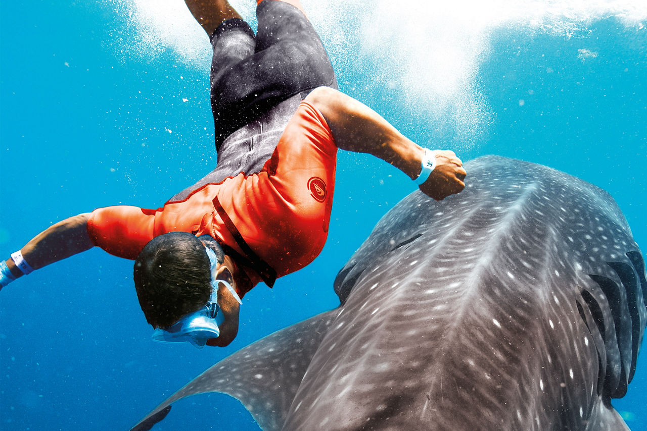 Mexico Cozumel Snorkeling Whale Shark