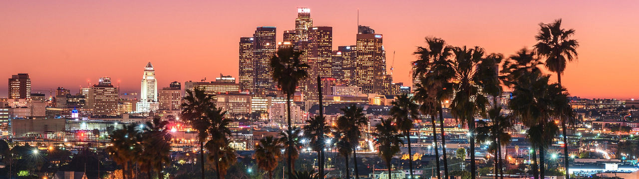 Los Angeles Palm Trees Nightlife Panorama