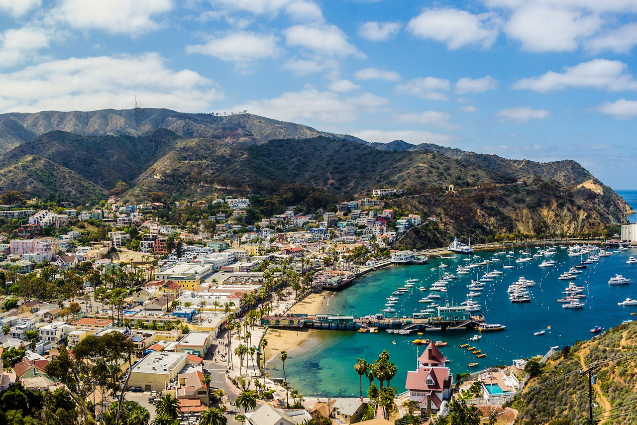 California Catalina Island Harbor Sunny Day