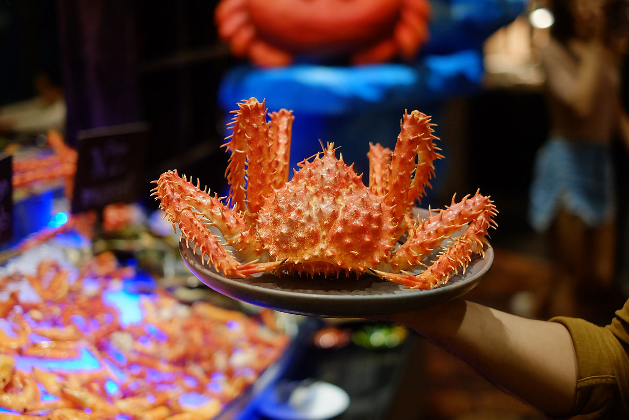 Hand hold king crab Alaska on white plate.selective focus.