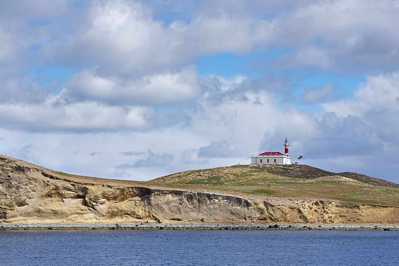 The coast of Magdalena island, Strait of Magellan, Chile
