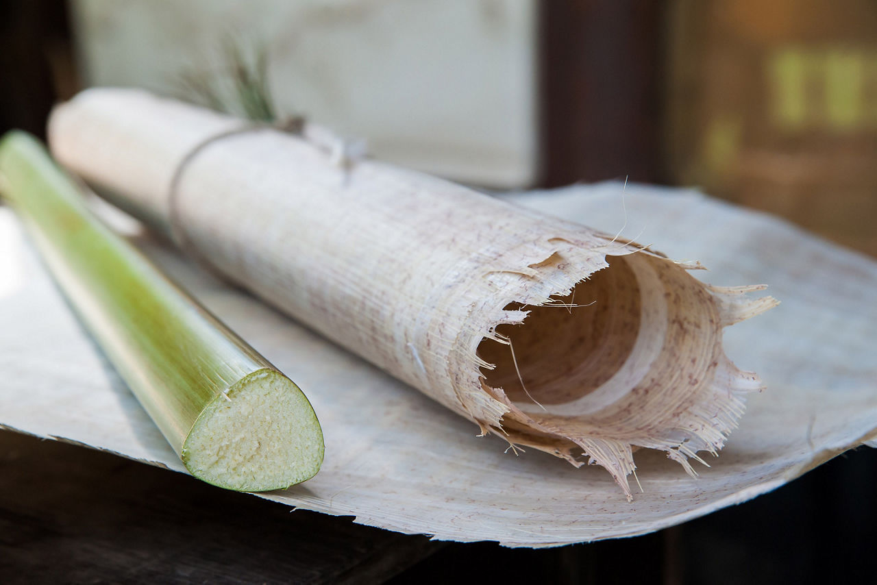 Local Shopping Paper Leaf Papyrus 