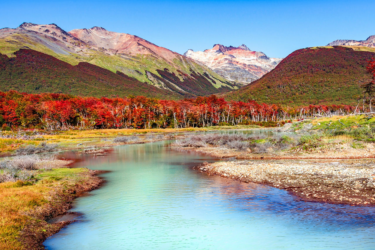 Beautiful landscape of lenga forest, mountains at Tierra del Fuego National Park, Patagonia