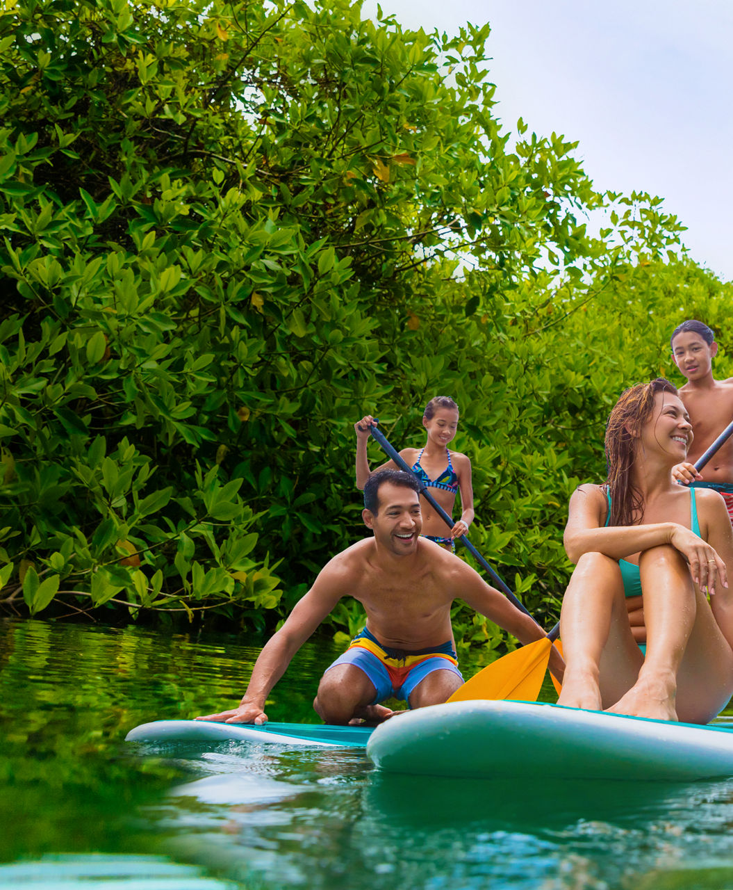 Family Paddle Boarding on Vacation HP Mobile 750 910 FAM NF 2x