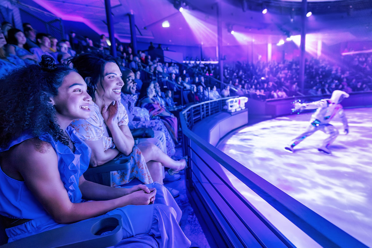 Audience Enjoying the Absolute Zero Ice Skating Show